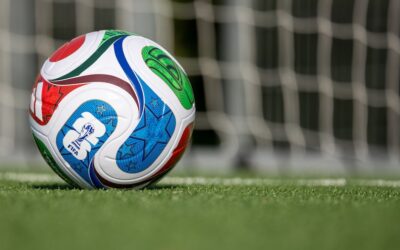 What Mobility Data Reveals About World Cup Spending Patterns
